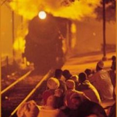 lisa112358's profile picture. Life as a dark game. Root mode.