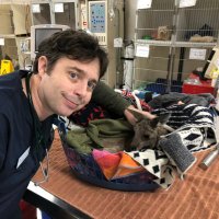 Andrew Wester (@andrewwester) 's Twitter Profile