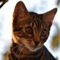 Antonio Archilaga (@naninosinbotas) 's Twitter Profile Photo