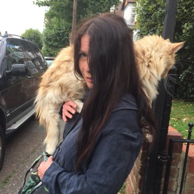 winosullivan1's profile picture. 