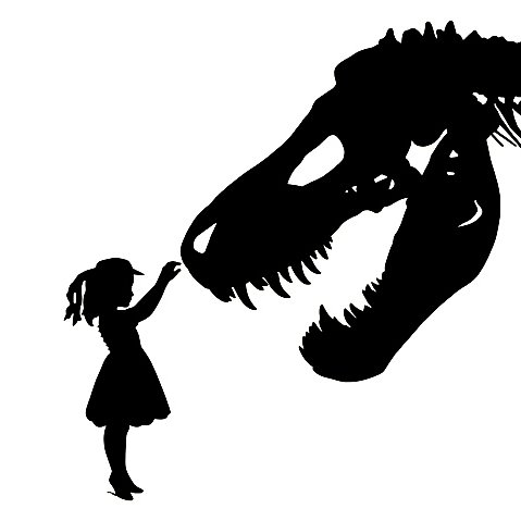 PhD working on Comparative Morphology and hearing. Interested in Conservation, Space, Forests, Ecology, and all things marine. Looking for a Postdoc.