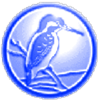 Halkyone (@ottoerich) 's Twitter Profile