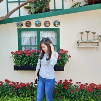 Trifosa Ayu (@atrifosa) 's Twitter Profile