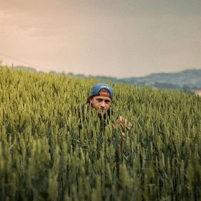 Joaotutto's profile picture. 