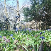 Jan E (@yo_ean) 's Twitter Profile Photo