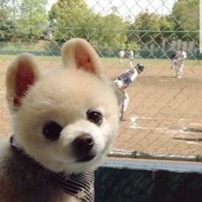 明秀日立　野球部⚾　応援してます✨