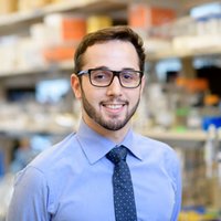Renzo G. DiNatale (@renzogdg) 's Twitter Profile