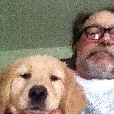 fogleart's profile picture. 