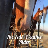 The Fair Weather Rider(@thefwrider) 's Twitter Profile Photo