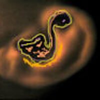 Anu (@imolaa) 's Twitter Profile Photo