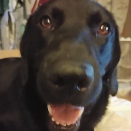 MsLina12's profile picture. 