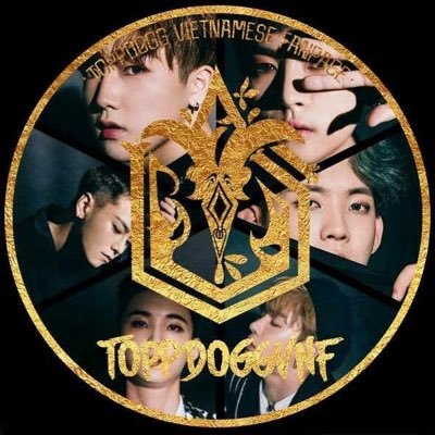 toppdoggvnf Profile Picture