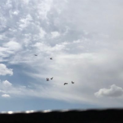 suzimamiko's profile picture. Mizah Mizahi