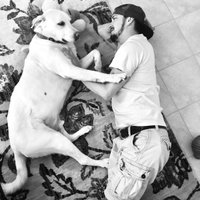 John (@jpjr_texas) 's Twitter Profile