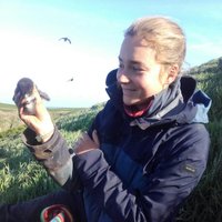 Cécile Vansteenberghe (@cecilevansteen) 's Twitter Profile