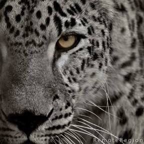 you04232084's profile picture. 