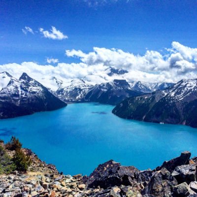 danika_nik's profile picture. n/a