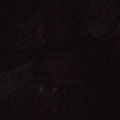 jesse_ym's profile picture. Toronto sports teams