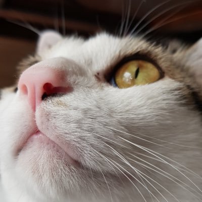 mogi_im's profile picture. 