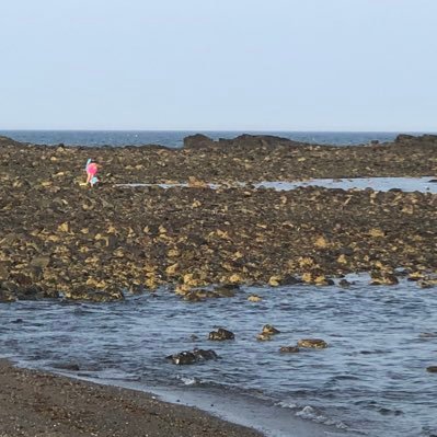 410coe's profile picture. 