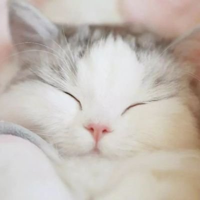 Zt8DcalDcBbuVQy's profile picture. ❤❤❤