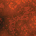 Al Evans (@aljevans) Twitter profile photo Al Evans (@aljevans) Twitter profile photo