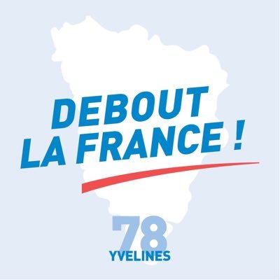 Debout La France @DLF_Officiel - Fédération des Yvelines 🇫🇷 #DLF #Gaullisme