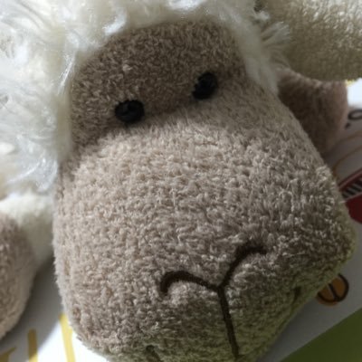 んよさんのプロフィール画像