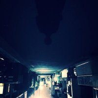 案山子 (@kakakakashi215) Twitter profile photo