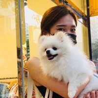 あんな (@aiai__anna) 's Twitter Profile