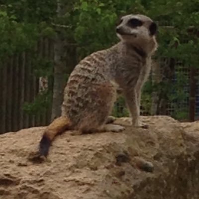 Chantilleee_xx's profile picture. .