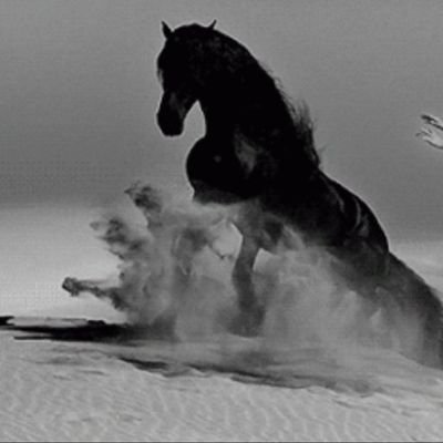 Adel_aldakhil's profile picture. كلمه تبدا بـــ ( ت ) لكن هو ( م ) اصارع بنسياب ارى مجدنا يصاحبه سراب