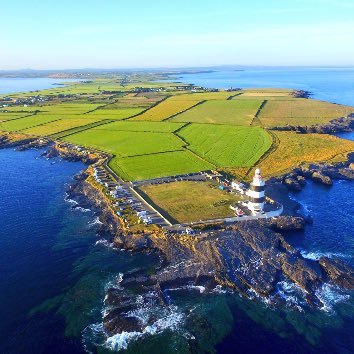 mark_nunan's profile picture. Area Manager with Whelehan Crop Protection