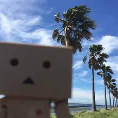 iFr4pPtY7i4HFkO's profile picture. 