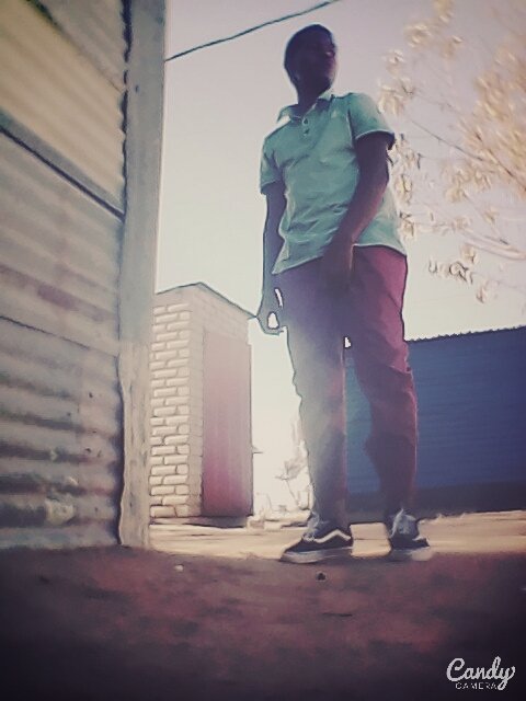 SiirCheezy's profile picture. Living in a strange world🌍