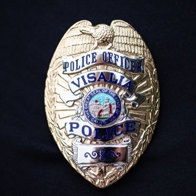 The Visalia Police Department is committed to service, safety, crime prevention, and enhancing public trust through professionalism and leadership.