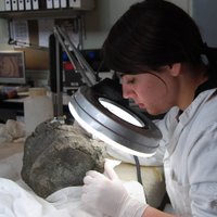 Caterine Arias (@carrieastur) 's Twitter Profile Photo