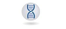 Extracting your history from the sands of time and shedding light on your family tree.