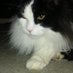 Cardesi (@cardesi5) Twitter profile photo Cardesi (@cardesi5) Twitter profile photo
