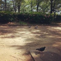 とんぽ堂 (@tospokodo08) 's Twitter Profile