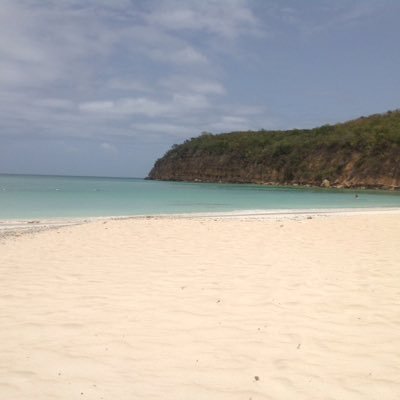 ChrisDonohoe1's profile picture. 