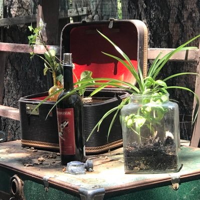 CKarenjo's profile picture. Marketing Manager for CollectiblesbyKJ2018 on https://t.co/DSAZofn71G

I'm into Retro and Vintage
History
Things as a talking point
and off roading.