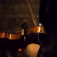 Gumi-the-fiddler (@gumifiddle) 's Twitter Profile