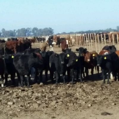 Gabriel46732976's profile picture. 