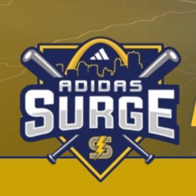 16uSurge's profile picture. Adidas surge 16u white baseball team
