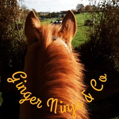 The adventures of an amateur rider tackling the world of dressage and eventing.
Blog link below 👇