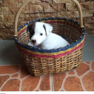 EmpressMarie_II's profile picture. 