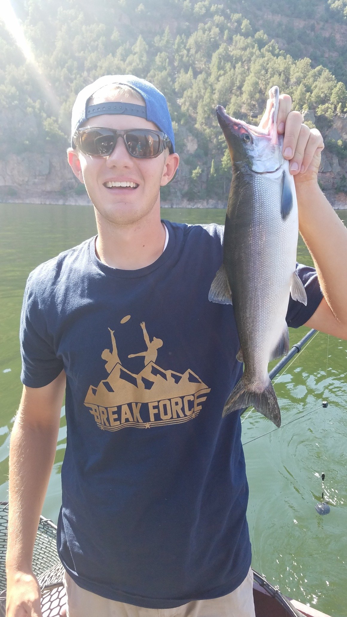 cox_kadens's profile picture. RN BSN MSN