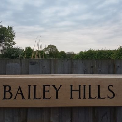 Bailey Hills is a small vineyard on the edge of Bishop's Stortford planted in May 2018