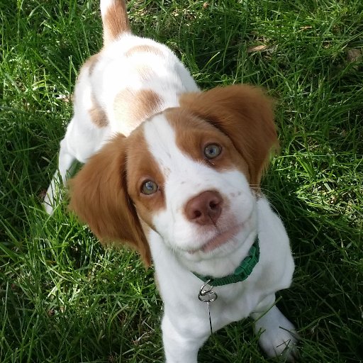 stellasplace1's profile picture. 